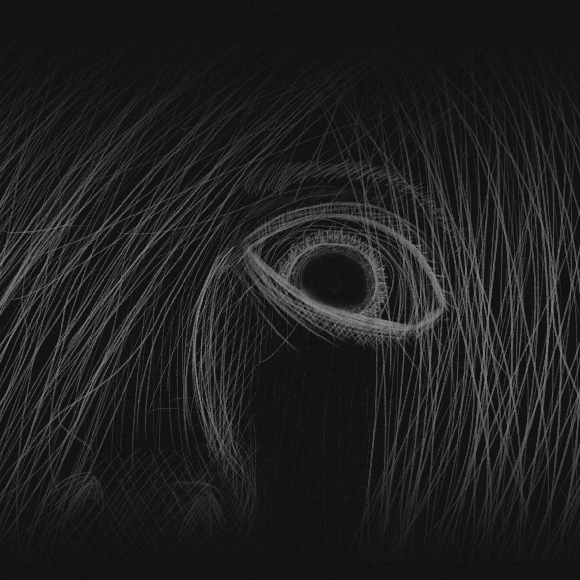 Web and illustration design