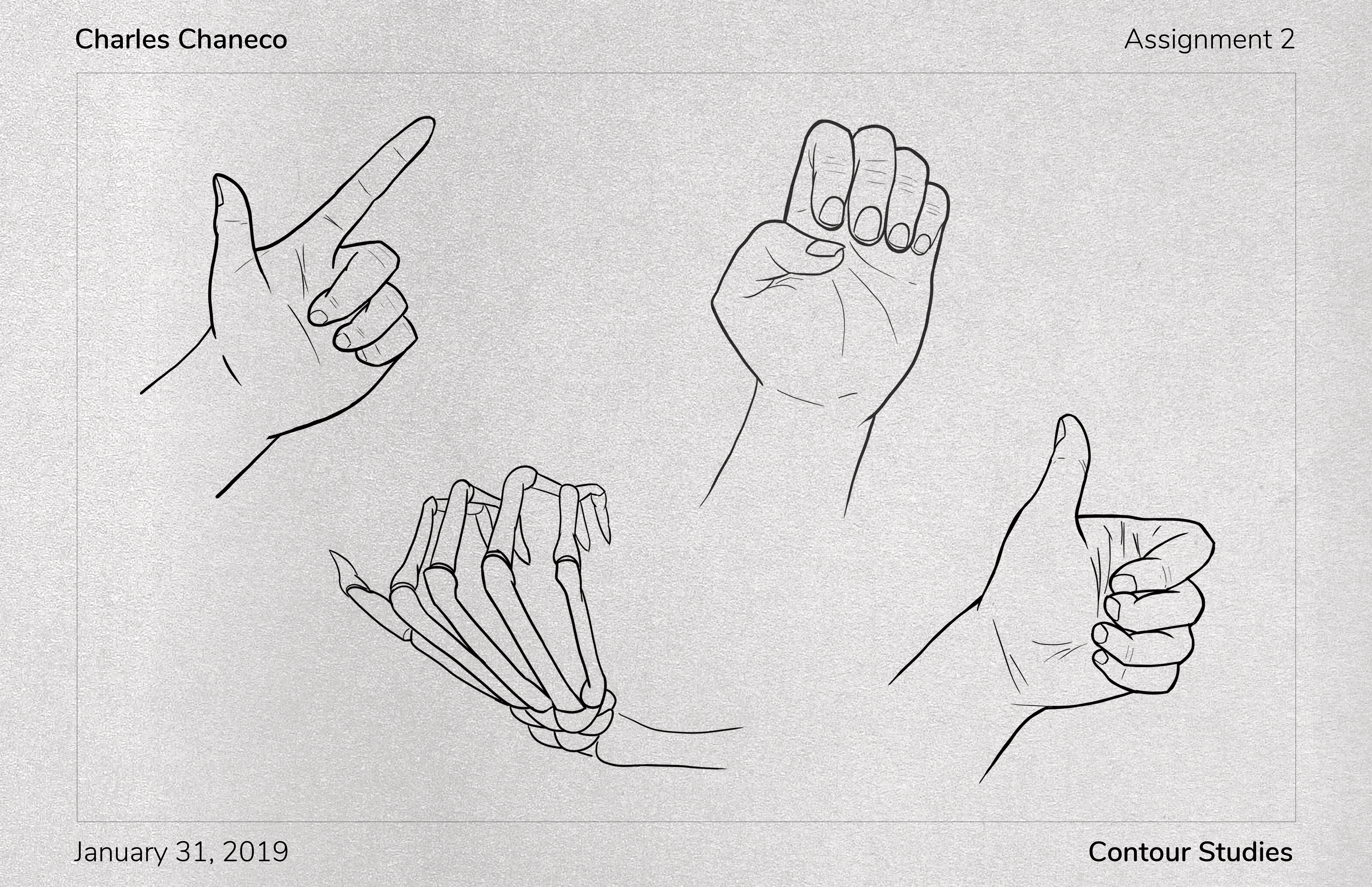 Hand Studies (Contour)