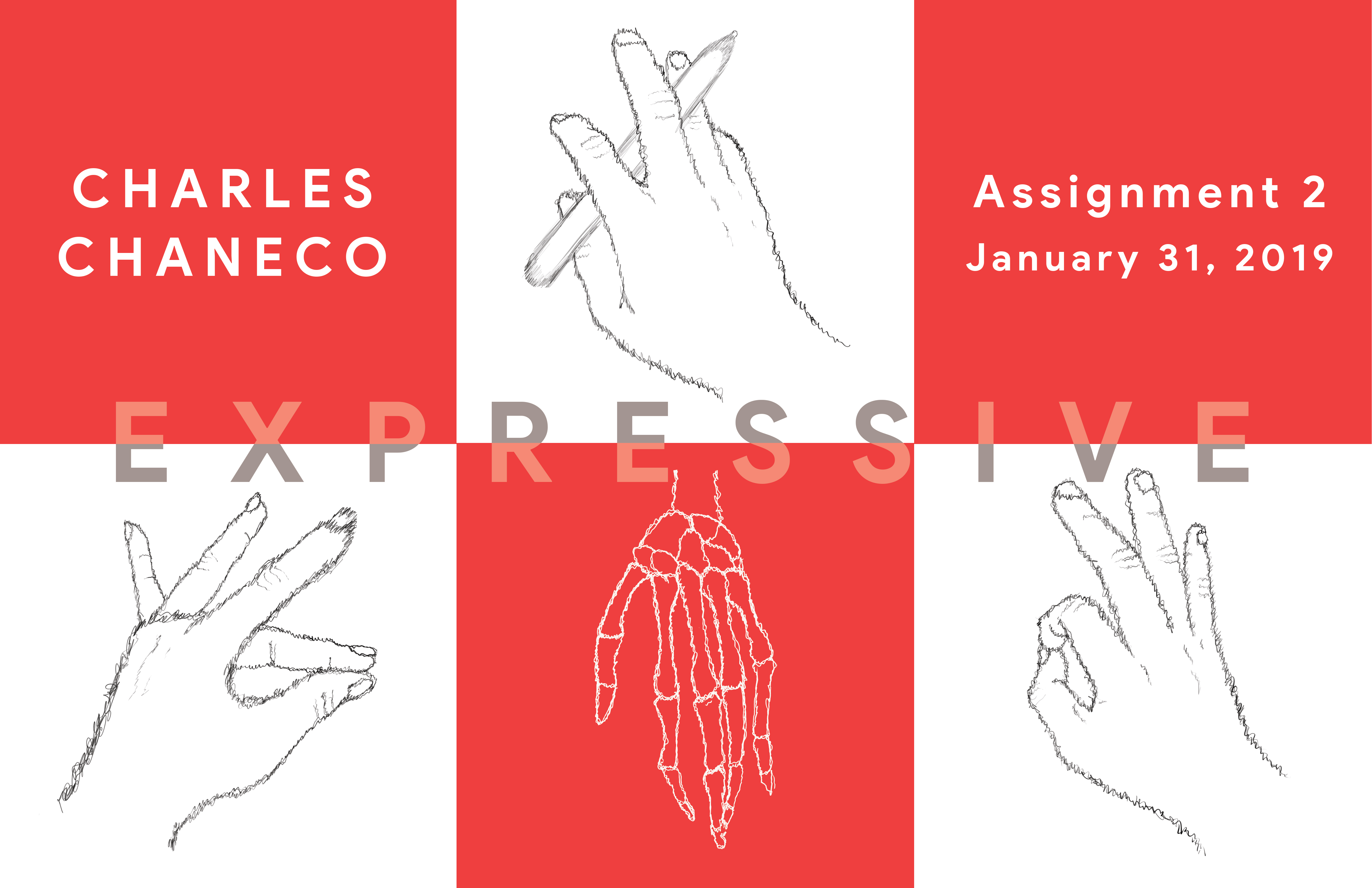 Hand Studies (Expressive)