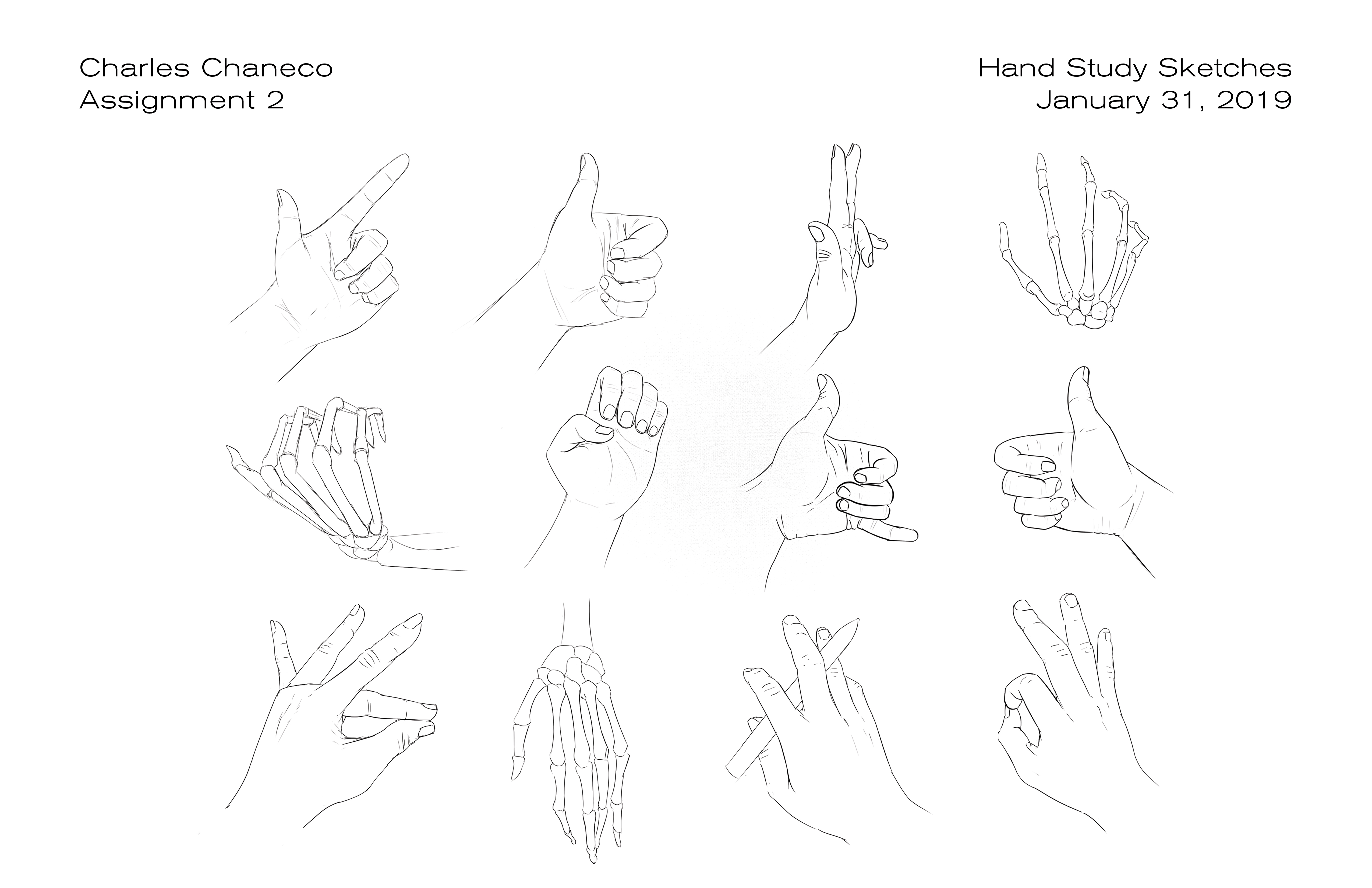 Hand Studies (Sketches)